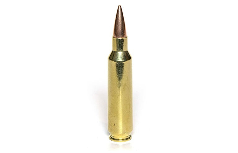 22 Nosler