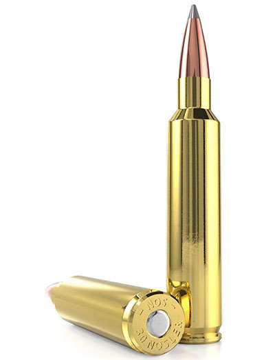30 Nosler ammunition