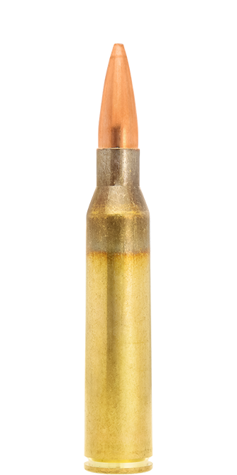 .338 Lapua Magnum ammunition