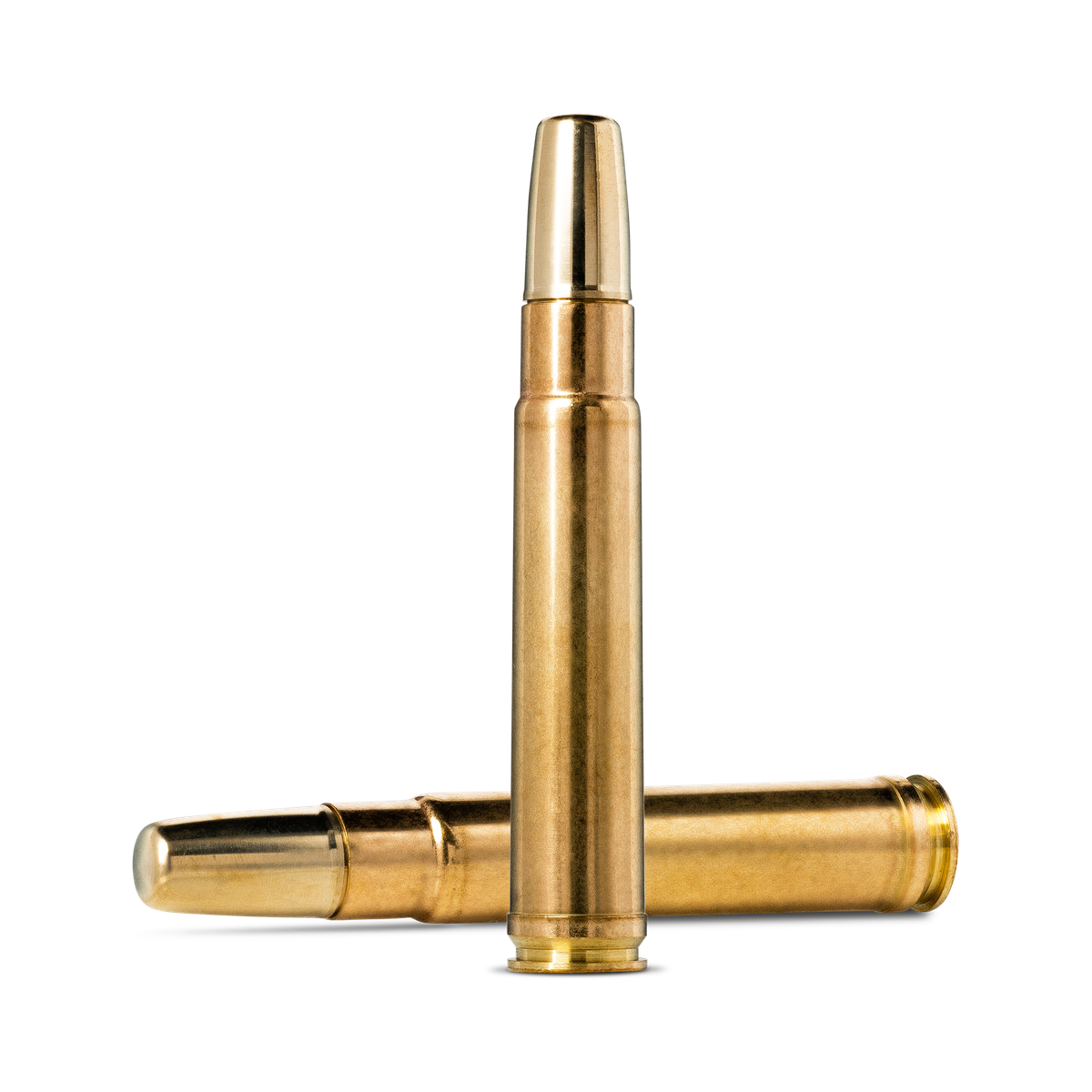 416 Taylor ammunition