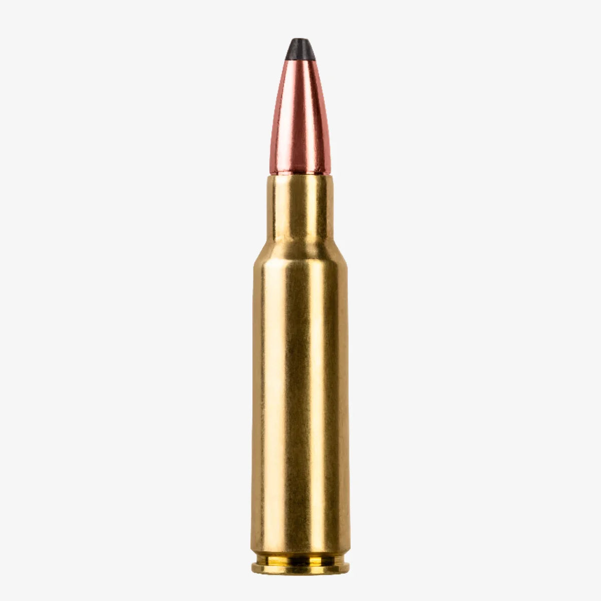 8,5x55 Blaser ammunition
