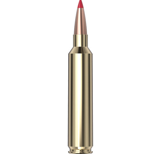 28 Nosler