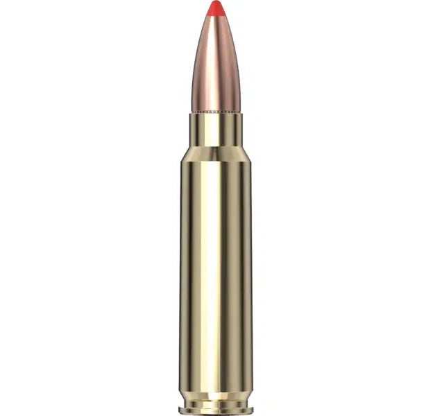 .300 Savage