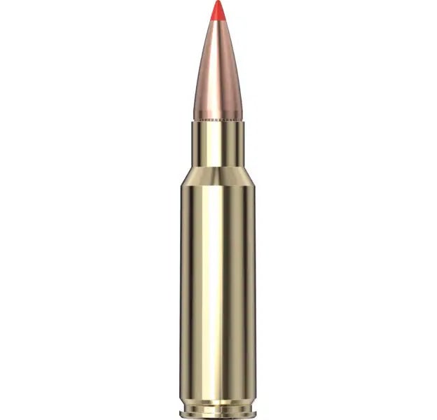.338 Ruger Compact Magnum