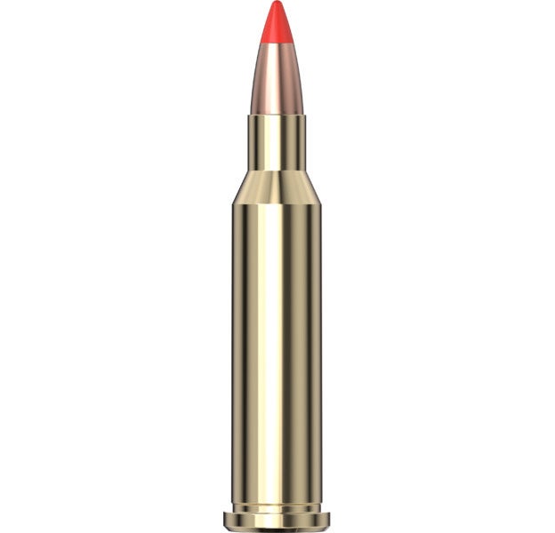 .17 Hornet