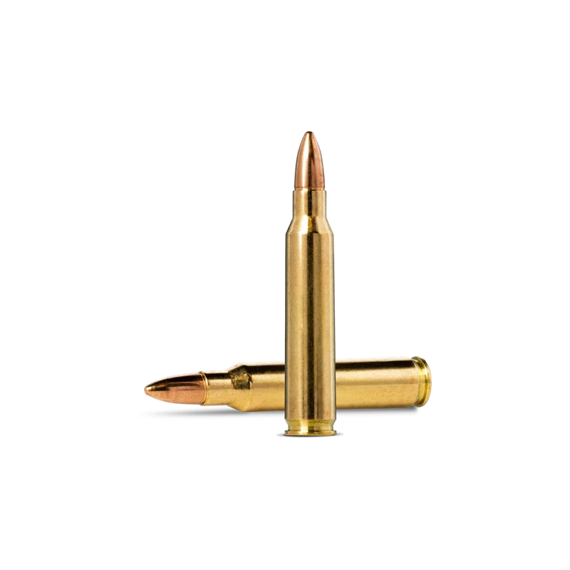 .223 Remington ammunition