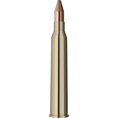 6,5x65 R ammunition