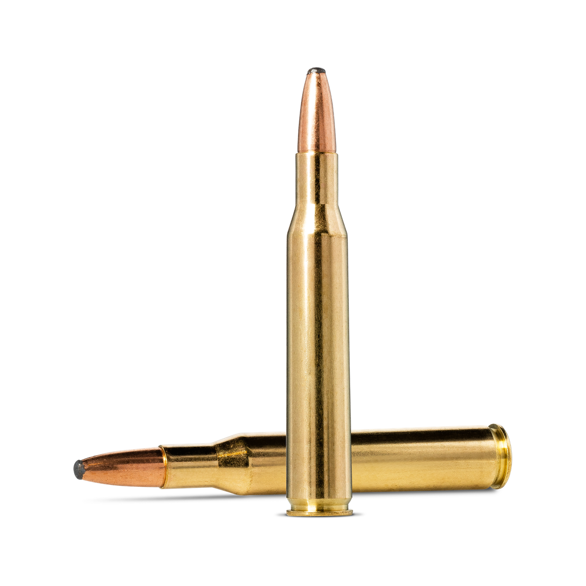 .270 Winchester ammunition