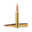 .270 Winchester ammunition