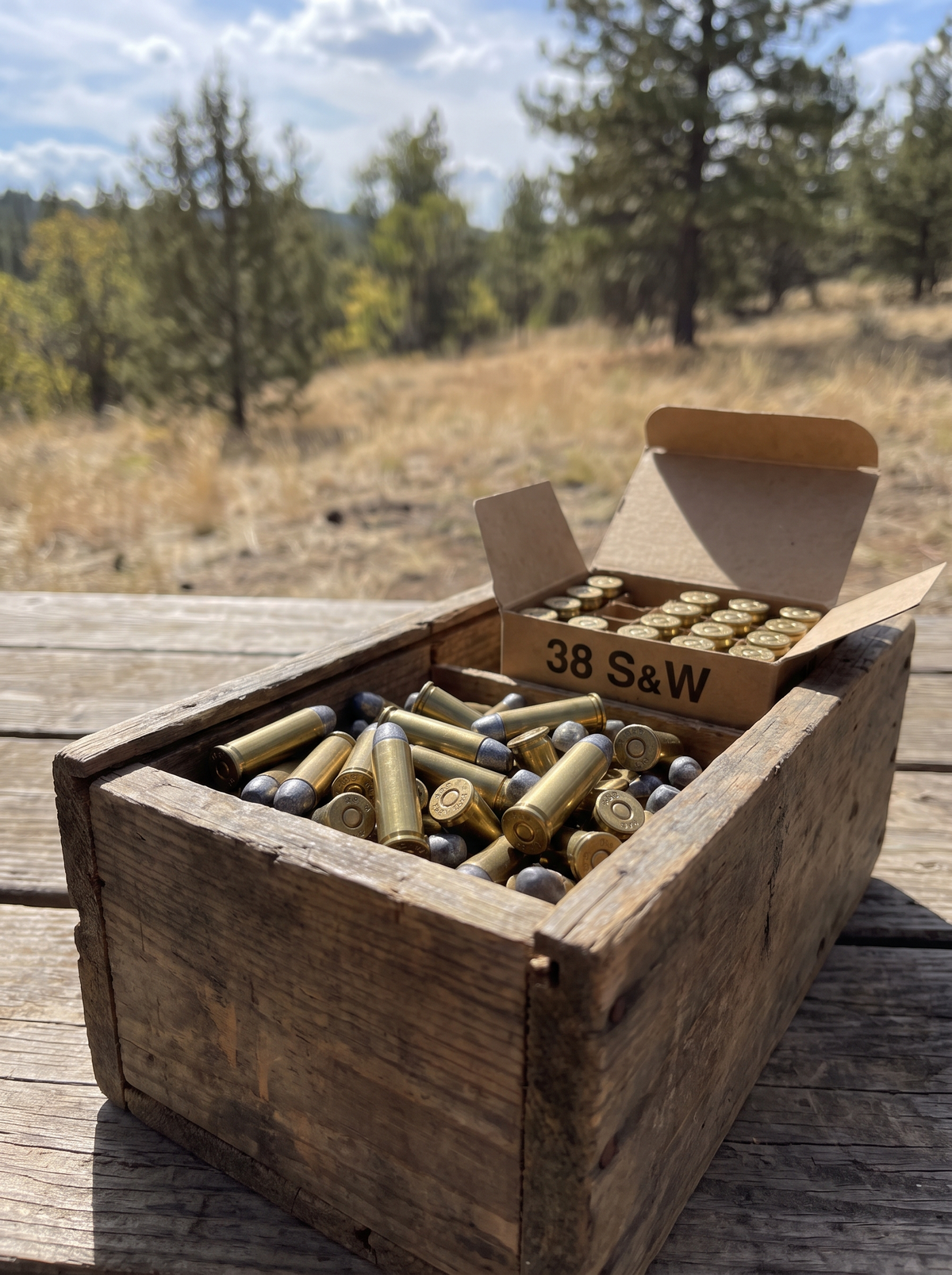 .38 S&W ammunition