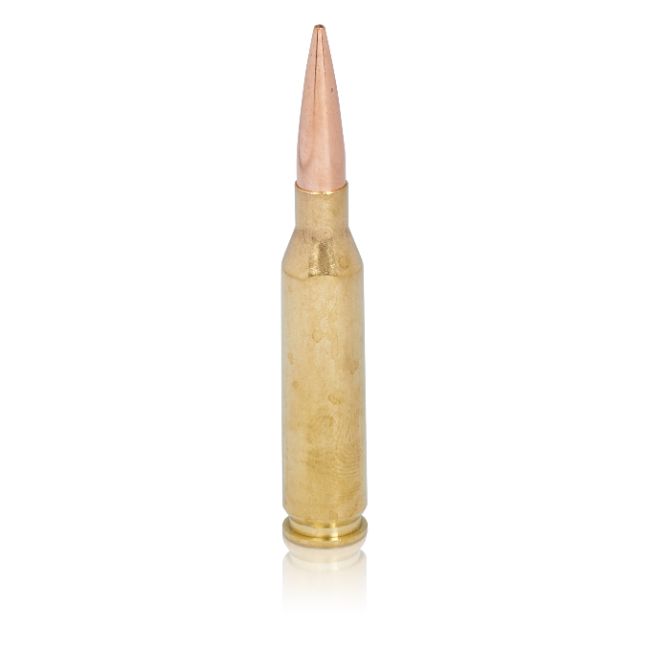 338 Remington Ultra Magnum ammunition