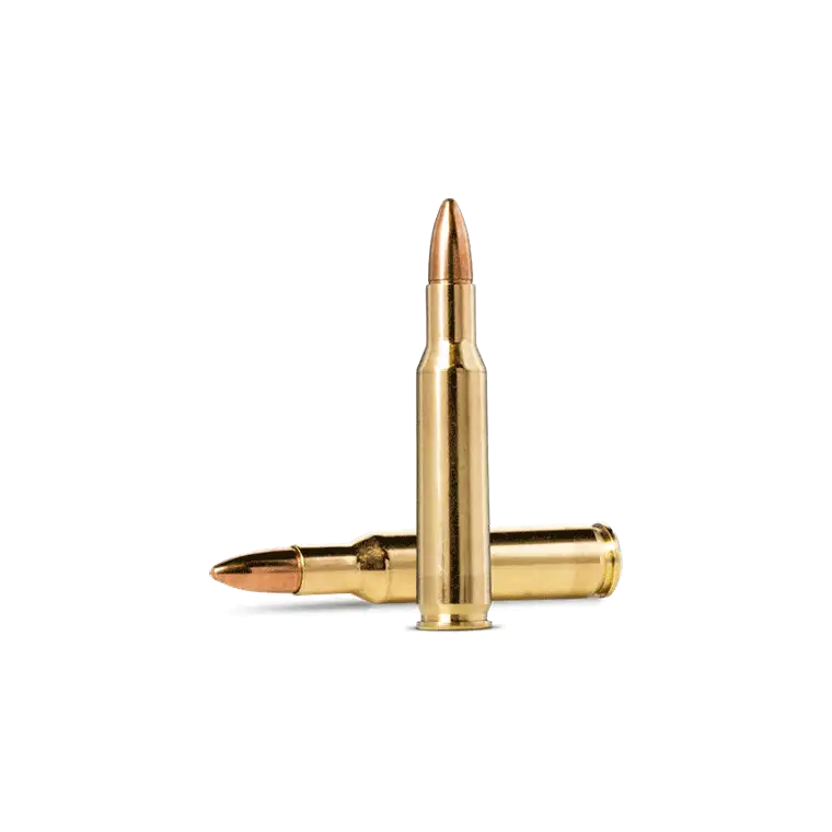 .222 Remington ammunition
