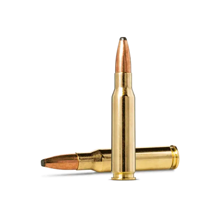 .308 Winchester ammunition