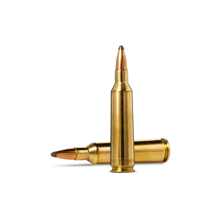 22-250 Rem ammunition
