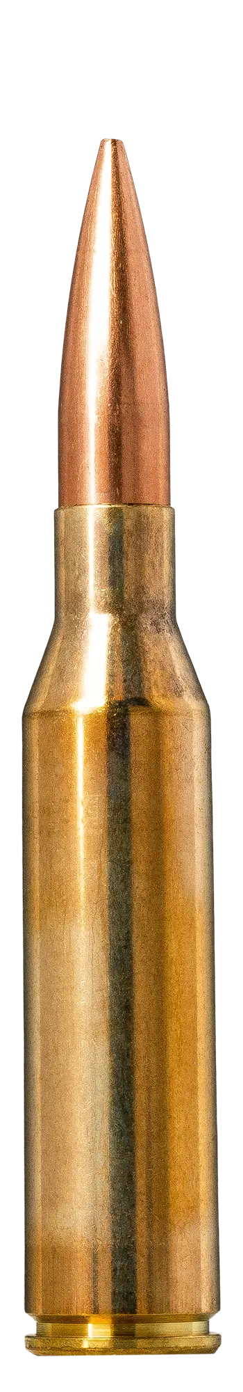 .338 Norma Magnum ammunition