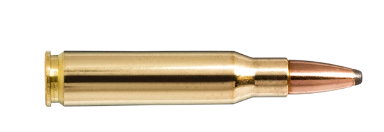 Norma - Whitetail - .30-30 - 9,7g/150gr - 20/ask