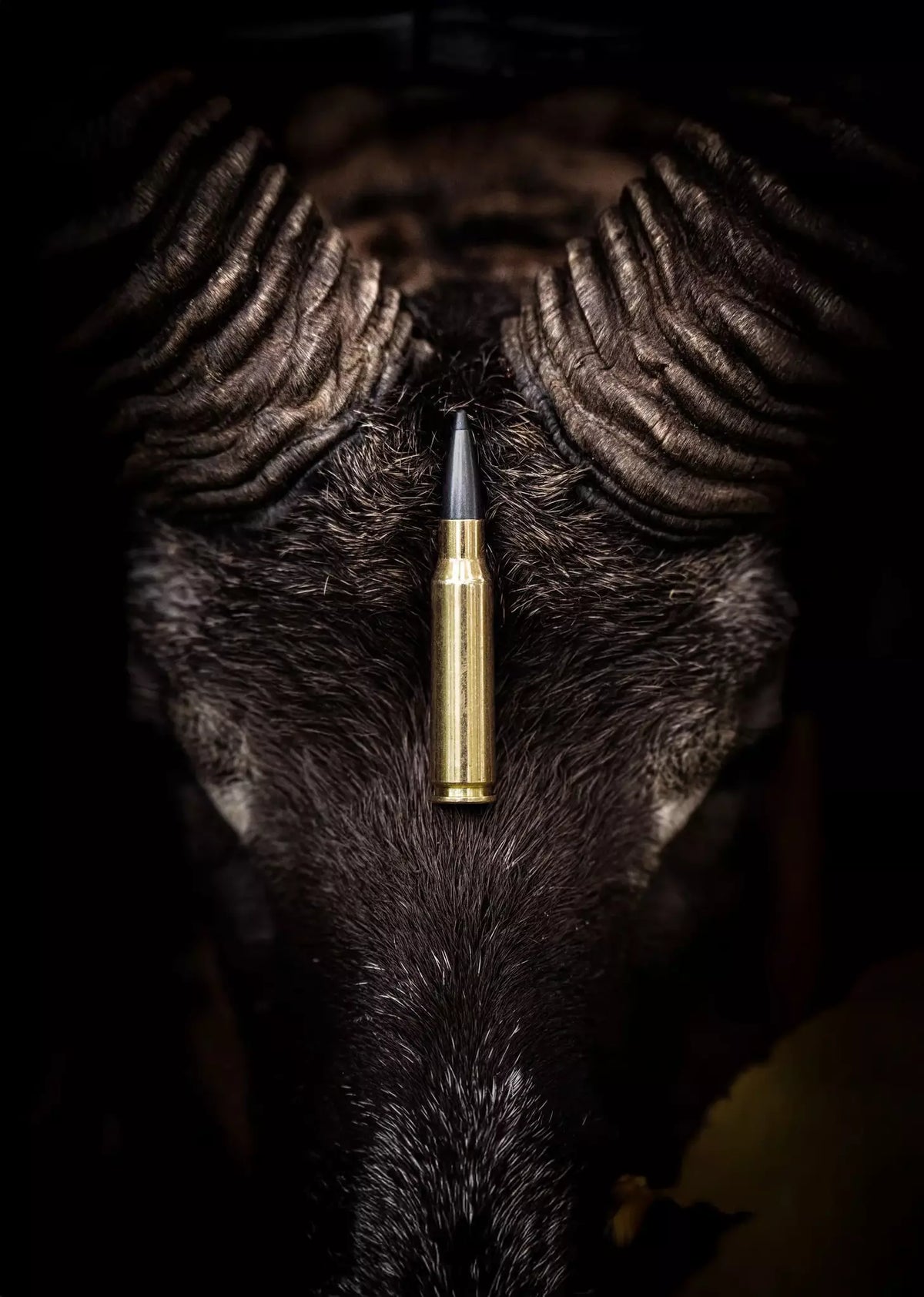 Norma - ODIN - 6,5 Creedmoor - 7,8g/120gr