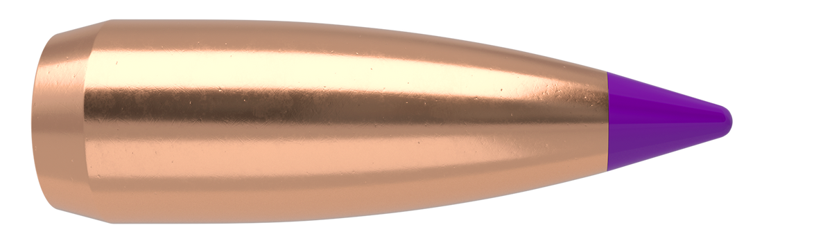 Nosler - Kula - 6mm - 55gr - Ballistic Tip Varmint - 100st/ask
