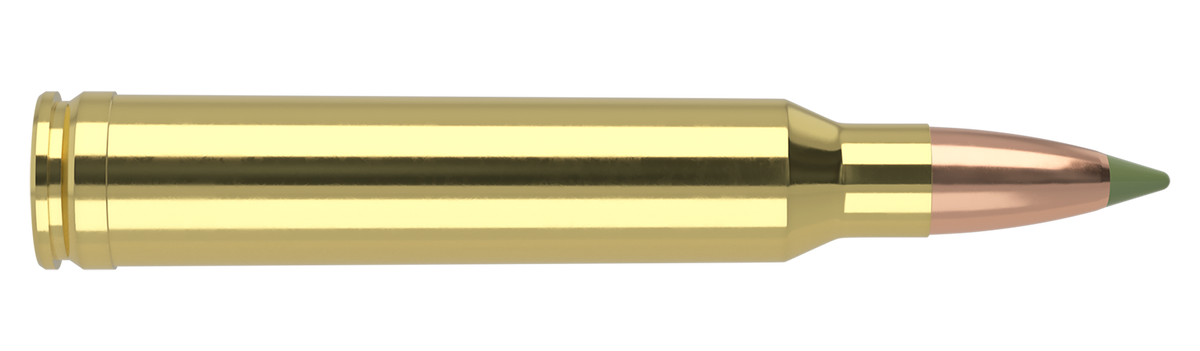 Nosler - Expansion Tip Ammunition - .300 Winchester Magnum - 180gr - ET - 20/ask