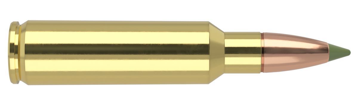 Nosler - Expansion Tip Ammunition - .325 Winchester Short Magnum - 180gr - ET - 20/ask