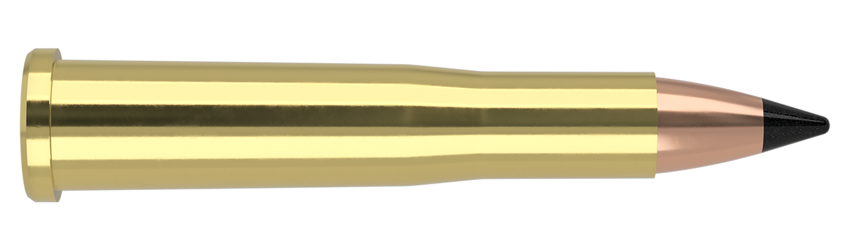 Nosler - Varmageddon Ammunition - .22 Hornet - 35gr - TV FB - 50/ask