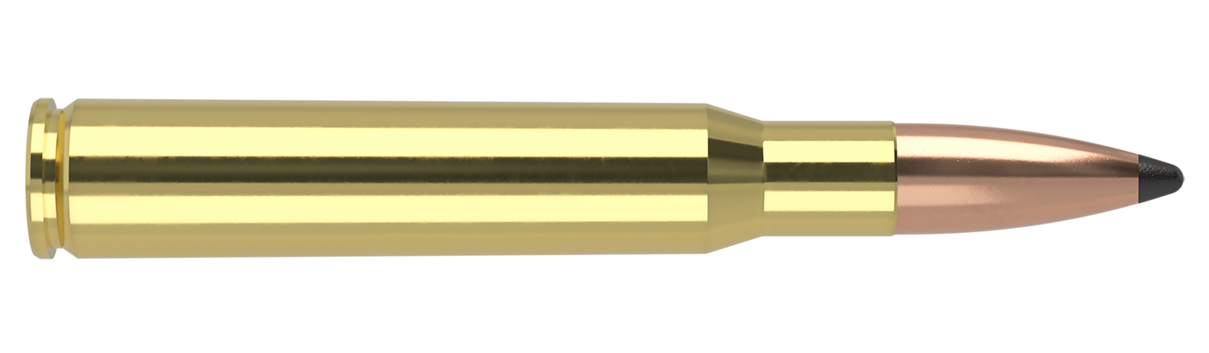 Nosler - Trophy Grade Ammunition - .30-06 Springfield - 180gr - PT - 20/ask