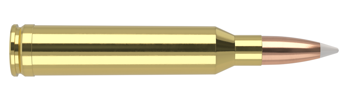 Nosler - Trophy Grade Ammunition - 7mm Remington Magnum - 160gr - AB - 20/ask