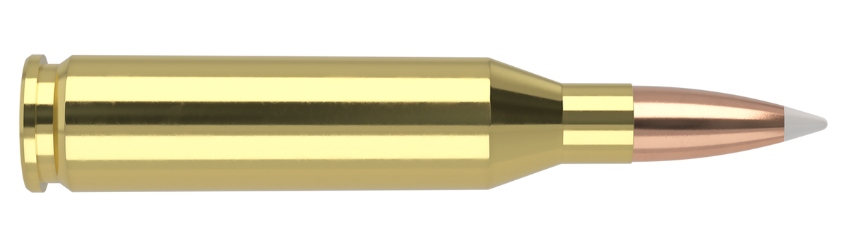 Nosler - Trophy Grade Ammunition - .243 Winchester - 90gr - AB - 20/ask