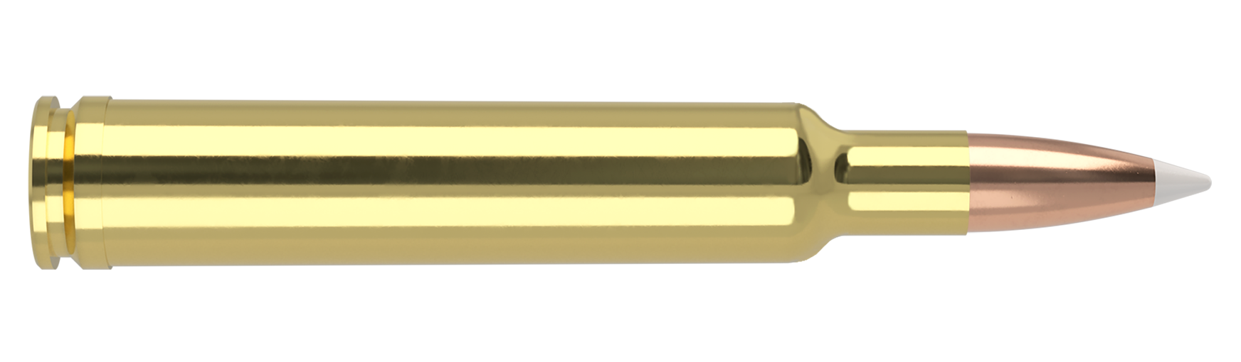 Nosler - Trophy Grade Ammunition - .300 Weatherby Magnum - 180gr - AB - 20/ask