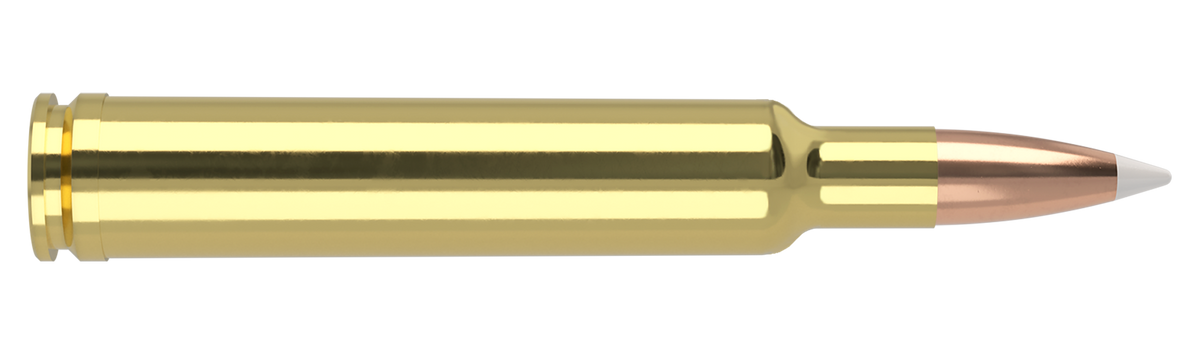 Nosler - Trophy Grade Ammunition - .300 Weatherby Magnum - 180gr - AB - 20/ask