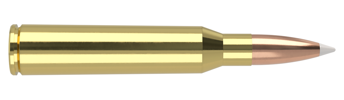 Nosler - Trophy Grade Ammunition - .338 Lapua Magnum - 300gr - AB - 20/ask