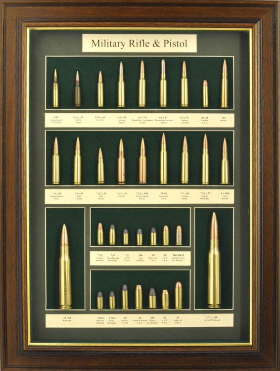 Wallmounted bullet display