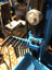 Armanov - Hex Key Holder for Original Dillon Hex Keys and Some Accessories