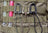 ITW Webdom Web Dominator Molle Backpack Carabiner
