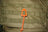 ITW Webdom Web Dominator Molle Backpack Carabiner
