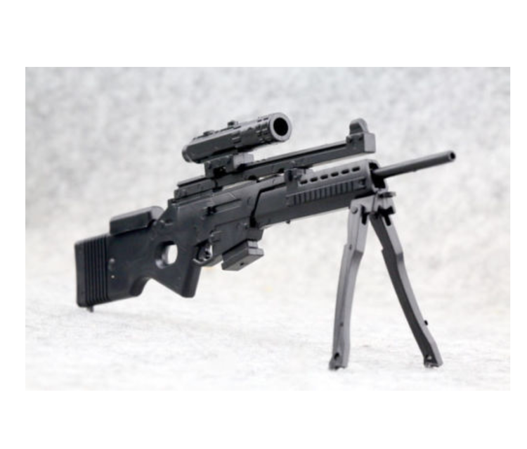 Puzzle Model Rifle
