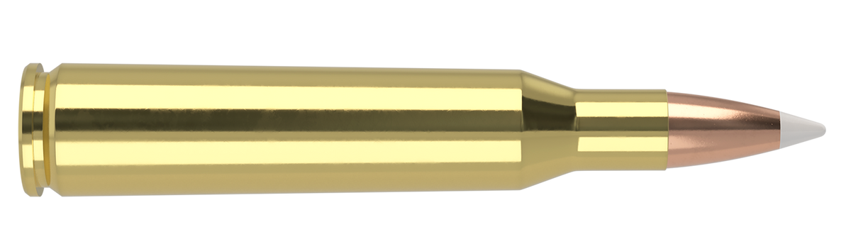 Nosler - Trophy Grade Ammunition - .257 Roberts +P - 110gr - AB - 20/ask