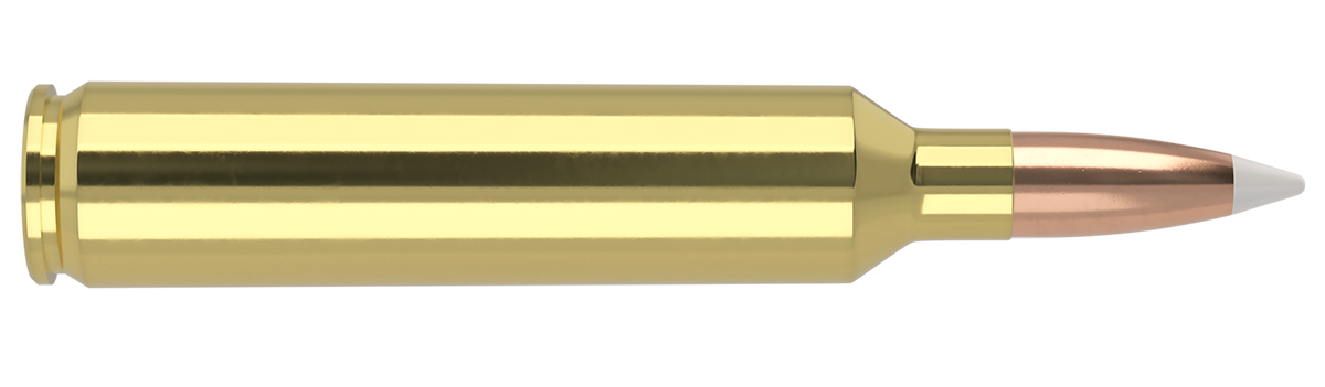 Nosler - Trophy Grade Ammunition - 26 Nosler - 140gr - AB - 20/ask