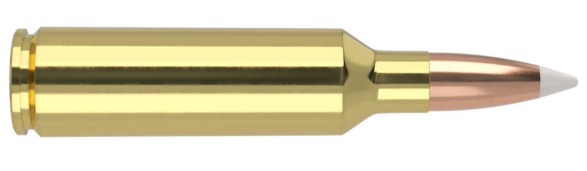 Nosler - Trophy Grade Ammunition - 270 WSM - 140gr - AB - 20/ask