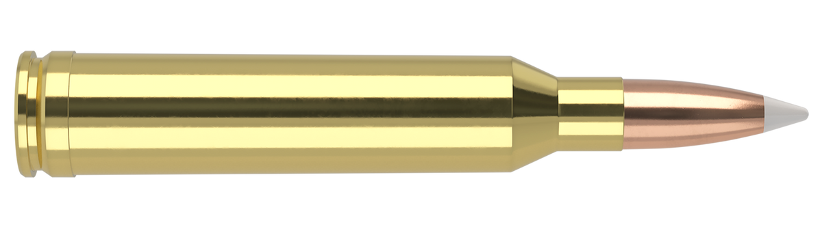 Nosler - Trophy Grade Ammunition - 7mm Remington Magnum - 140gr - AB - 20/ask
