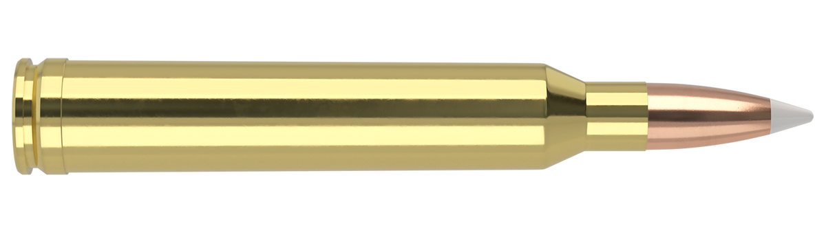 Nosler - Trophy Grade Ammunition - 7mm STW - 160gr - AB - 20/ask