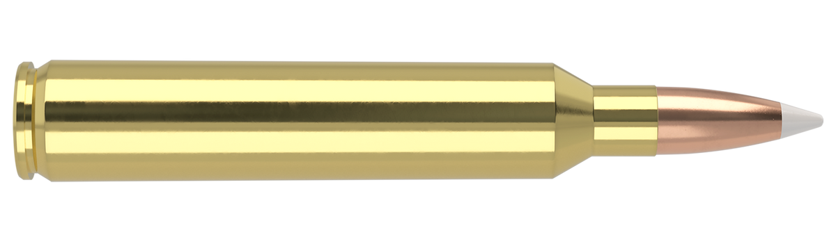 Nosler - Trophy Grade Ammunition - 7mm Remington Ultra Magnum - 160gr - AB - 20/ask
