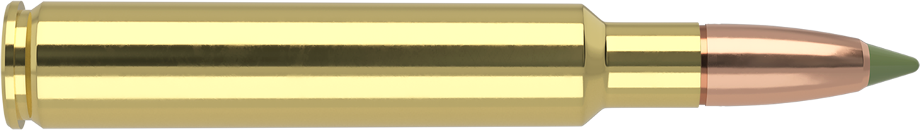 Nosler - Expansion Tip Ammunition - .280 Ackley Improved - 140gr - ET - 20/ask