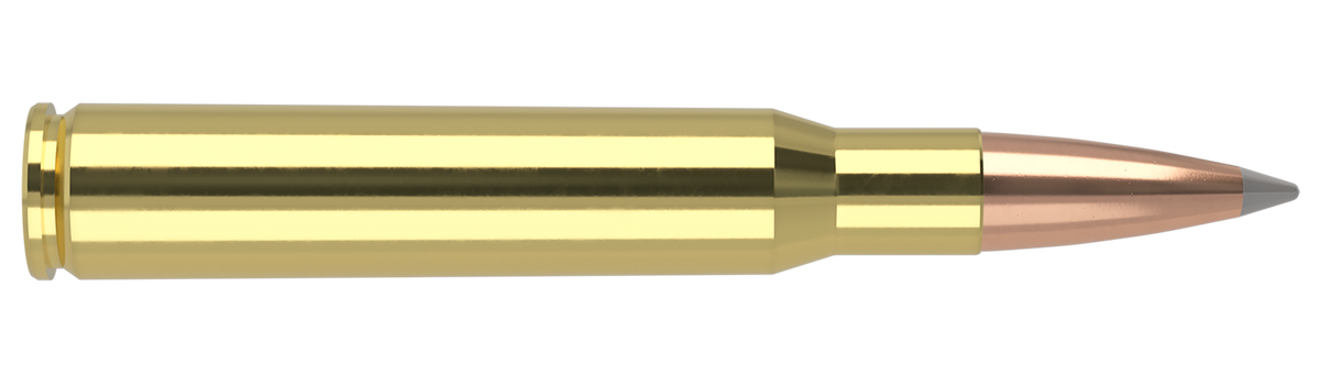 Nosler - Trophy Grade Ammunition - .30-06 Springfield - 168gr - ABLR - 20/ask