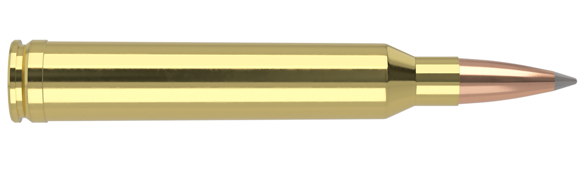 Nosler - Trophy Grade Ammunition - 7mm STW - 175gr - ABLR - 20/ask