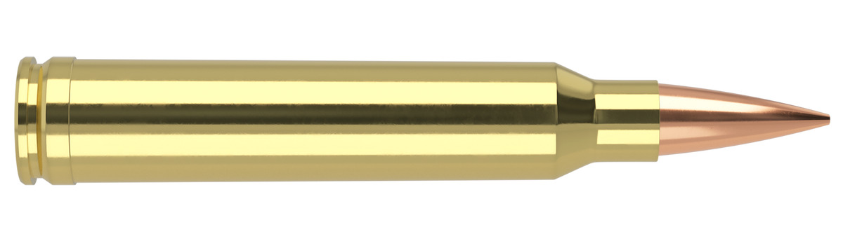 Nosler - Trophy Grade Ammunition - 300 Winchester Short Magnum - 190gr - ABLR - 20/ask