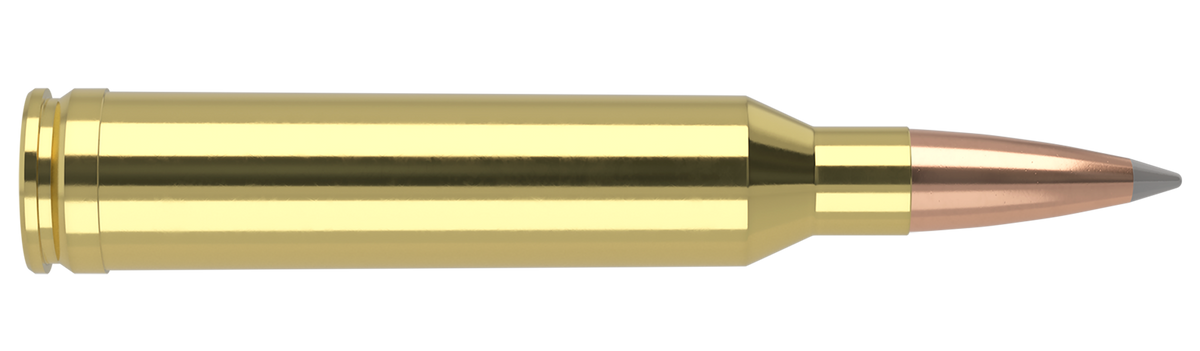 Nosler - Trophy Grade Ammunition - 7mm Remington Magnum - 168gr - ABLR - 20/ask