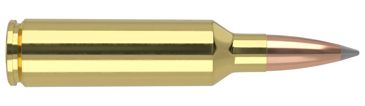 Nosler - Trophy Grade Ammunition - .270 Winchester Short Magnum - 150gr - ABLR - 20/ask
