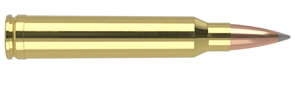 Nosler - Trophy Grade Ammunition - .300 Winchester Magnum - 190gr - ABLR - 20/ask