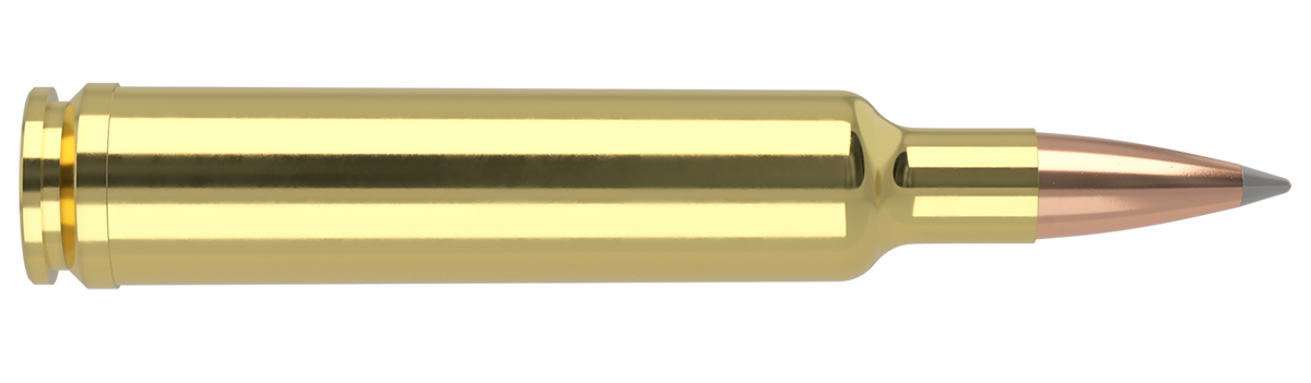 Nosler - Trophy Grade Ammunition - .30-378 Weatherby Magnum - 210gr - ABLR - 20/ask